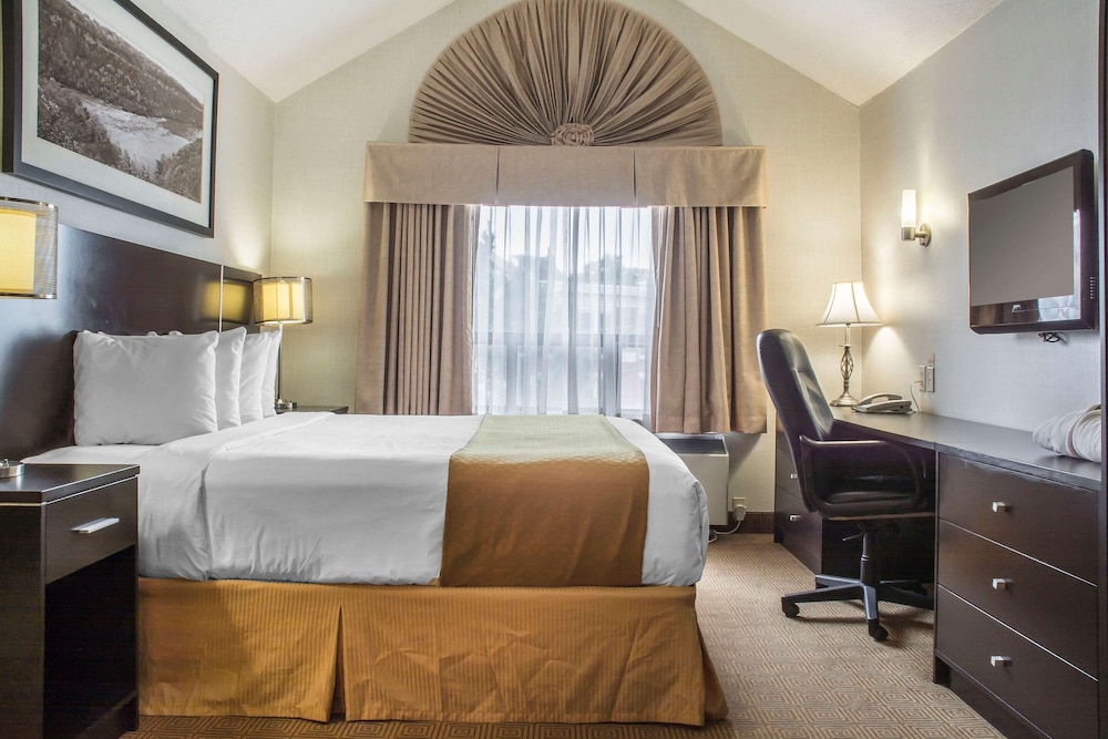 Quality Hotel - Property Image 24