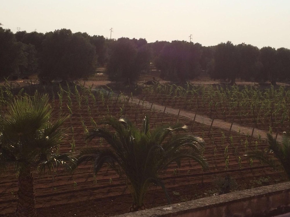 Tenuta Annibale