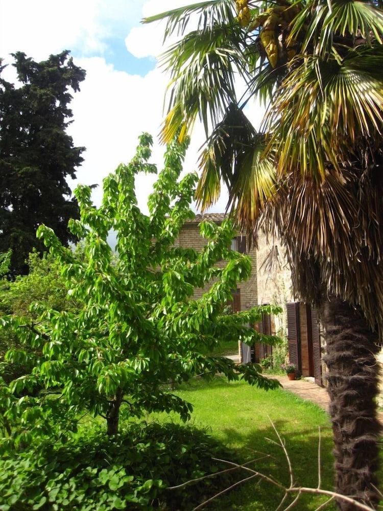 Bellavista farm of Quercini Maurizio