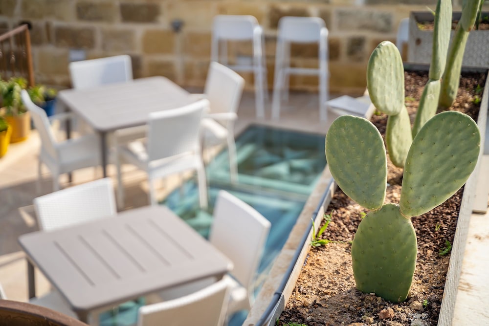 Ta' Pinu B&B, photo 12