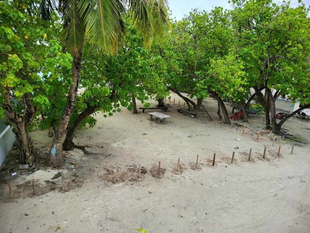 AAN Beach View