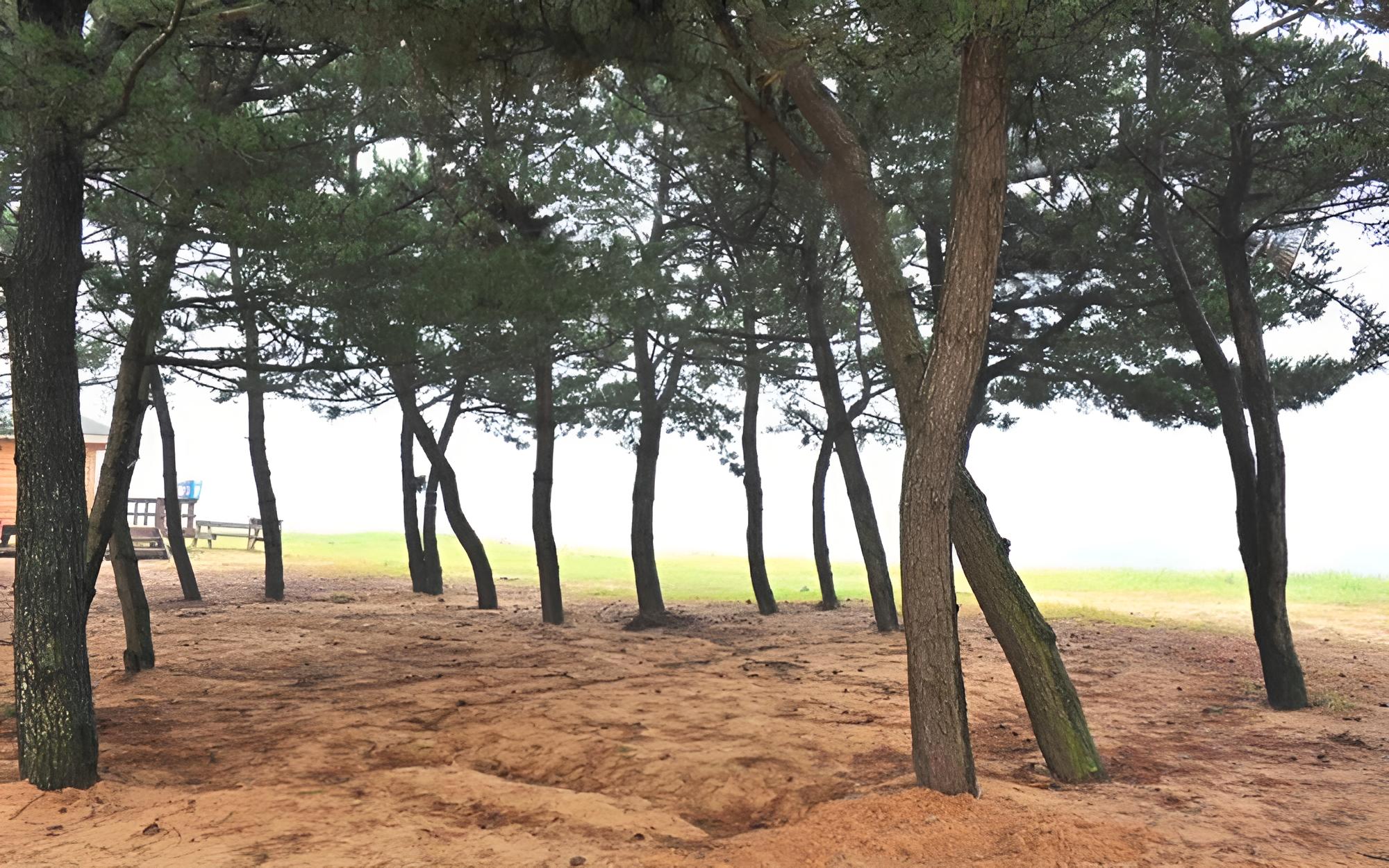 Boryeong Beach House Pension view 2