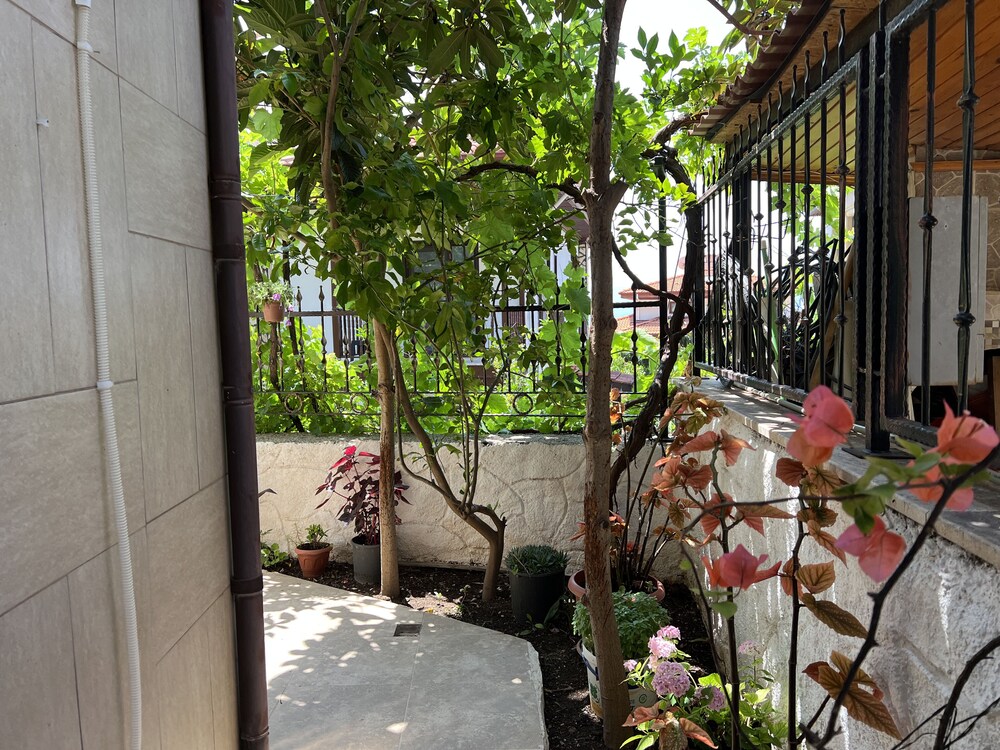 Photo 18