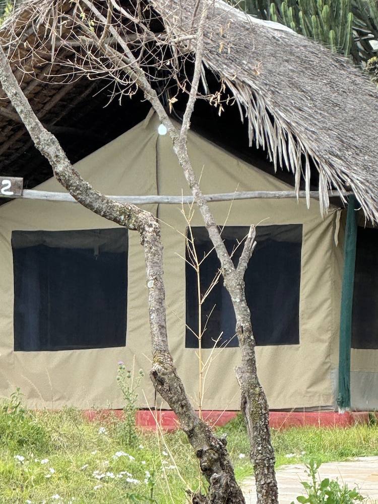 Flair Camp Experiences
