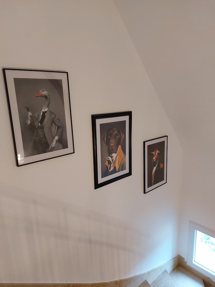 Photo 39