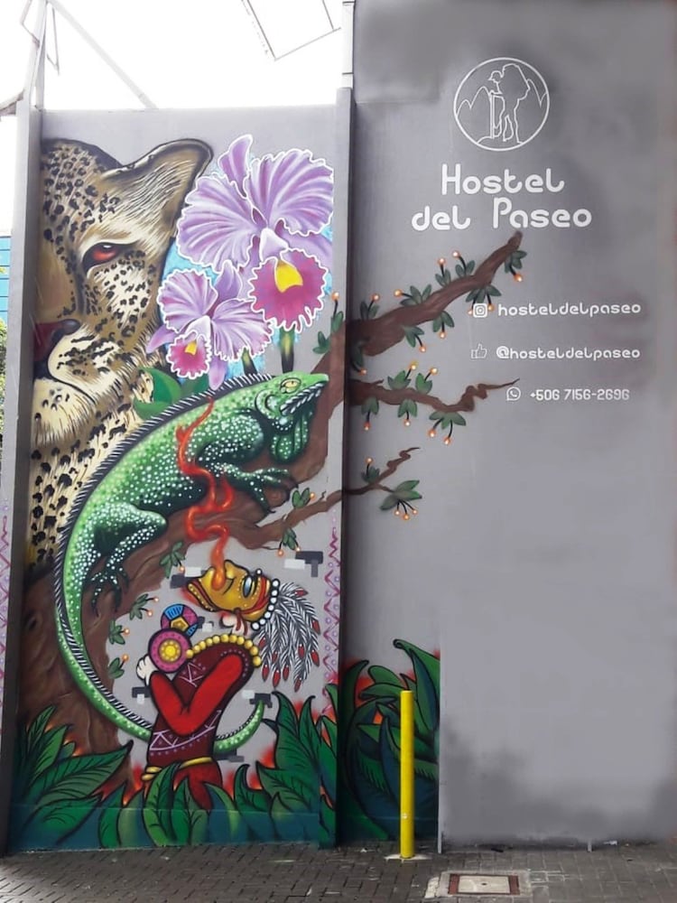 Hotel del Paseo - Hostel