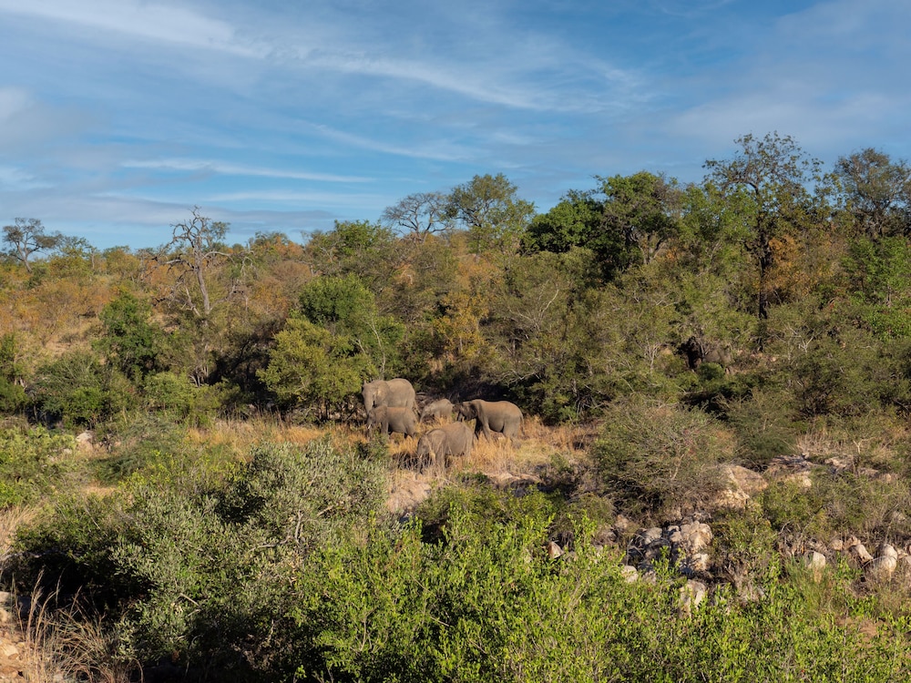 Motswari African Retreat & Walking Safaris by Newmark view 4