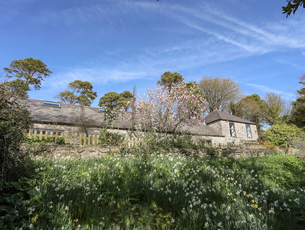 Plas Elyn