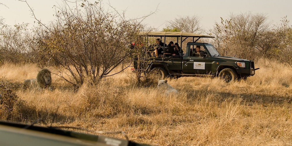 Elandela Private Game Reserve & Luxury Lodge