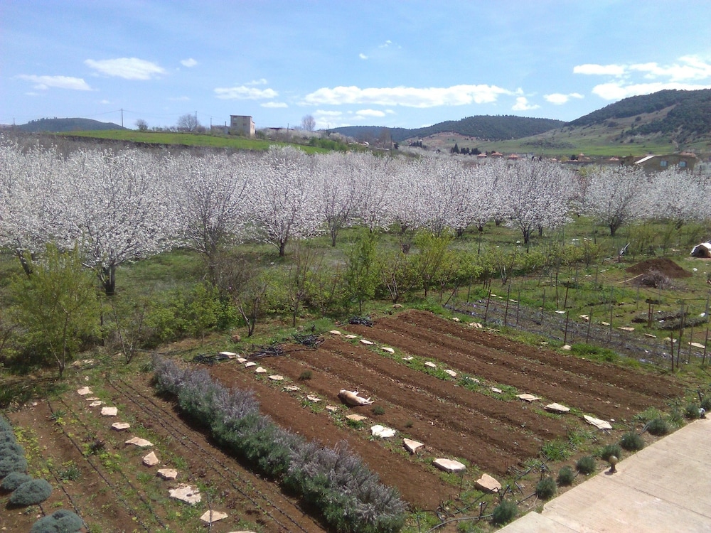 Les Jardins D'Azrou