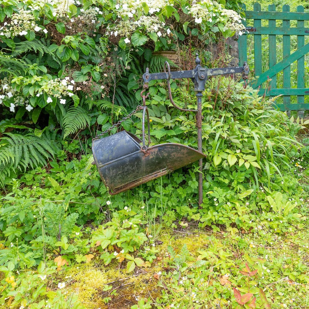 Photo 22