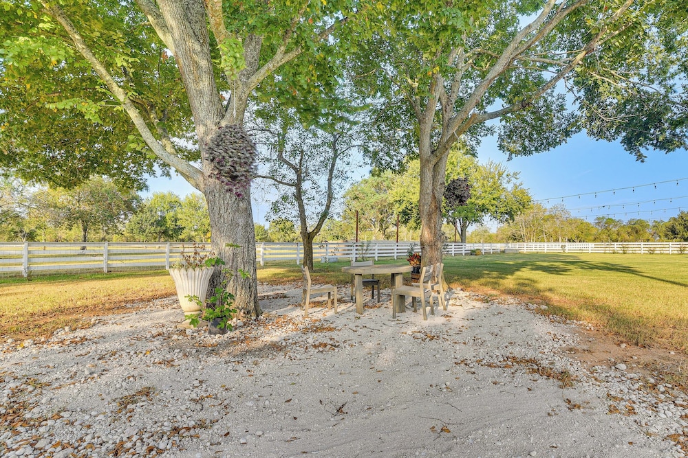 Farm Animals On-site: Needville Ranch Getaway!