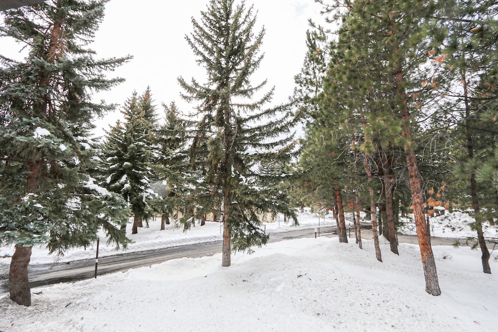 Snowcreek #21 4 Bedroom Townhouse view 4