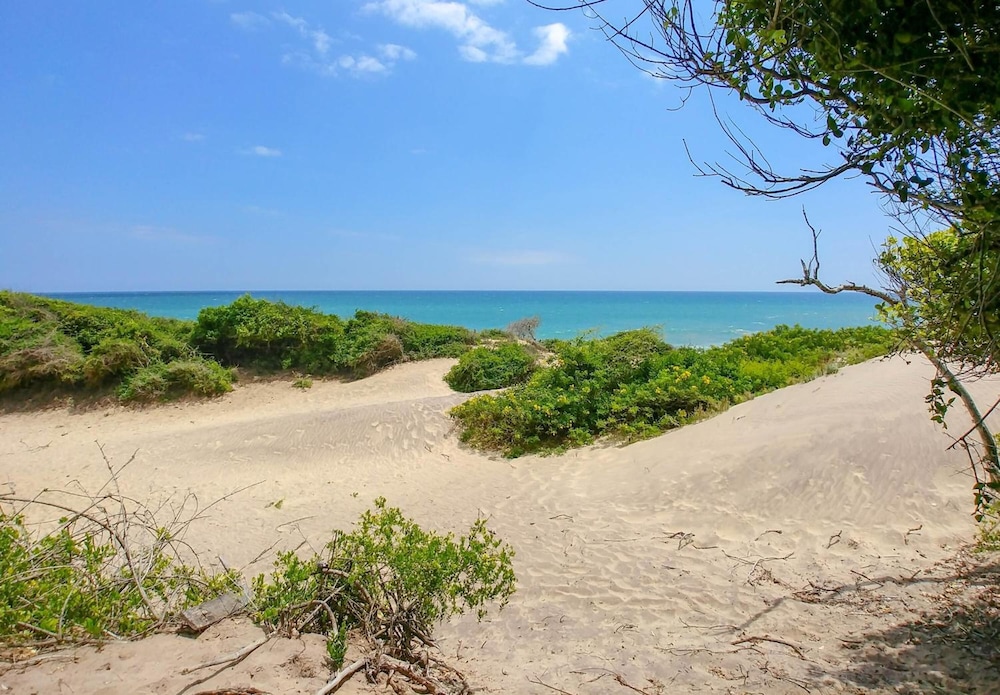 Back of Beyond Dune Camp - Yala