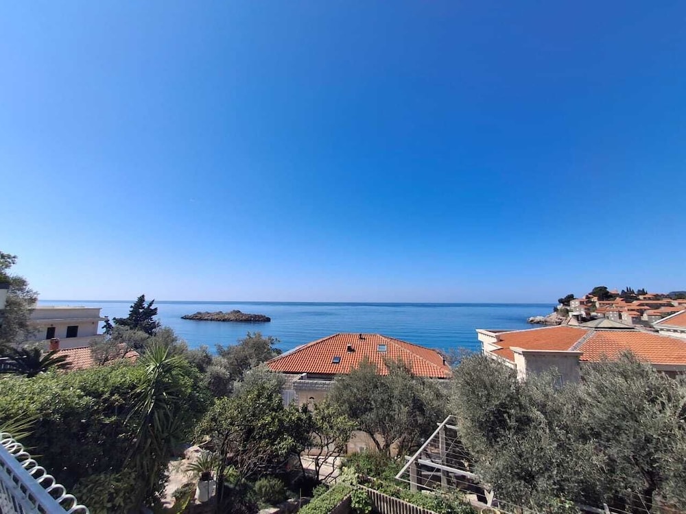 Apartments Andjus
