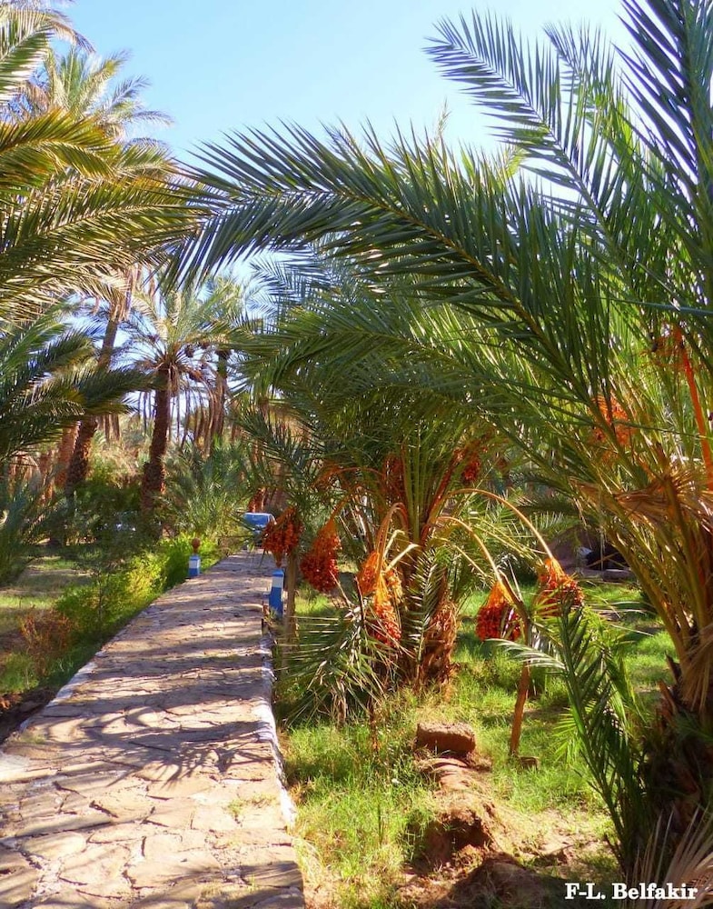 Riad Tagmadart Ferme D'hôte