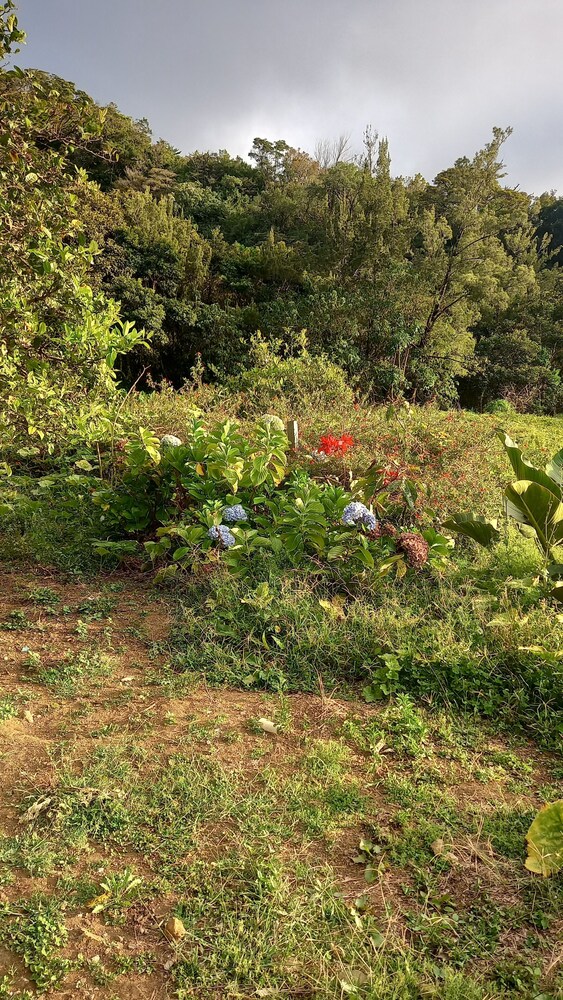 Finca panthera