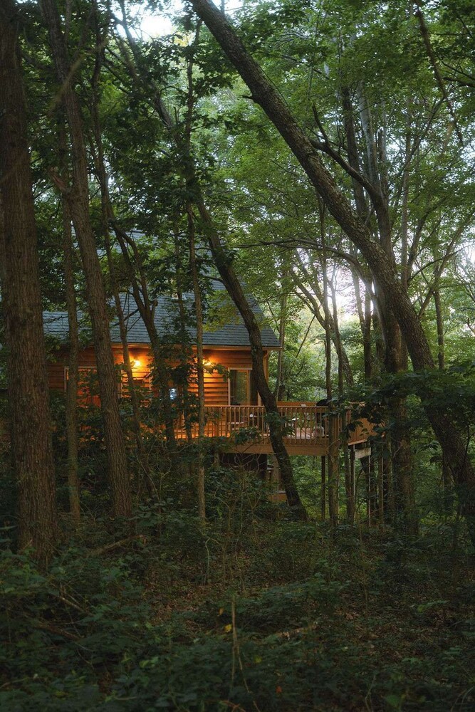 Cheerful Two Bdrm Cabin With Hot Tub & Pet Friendly