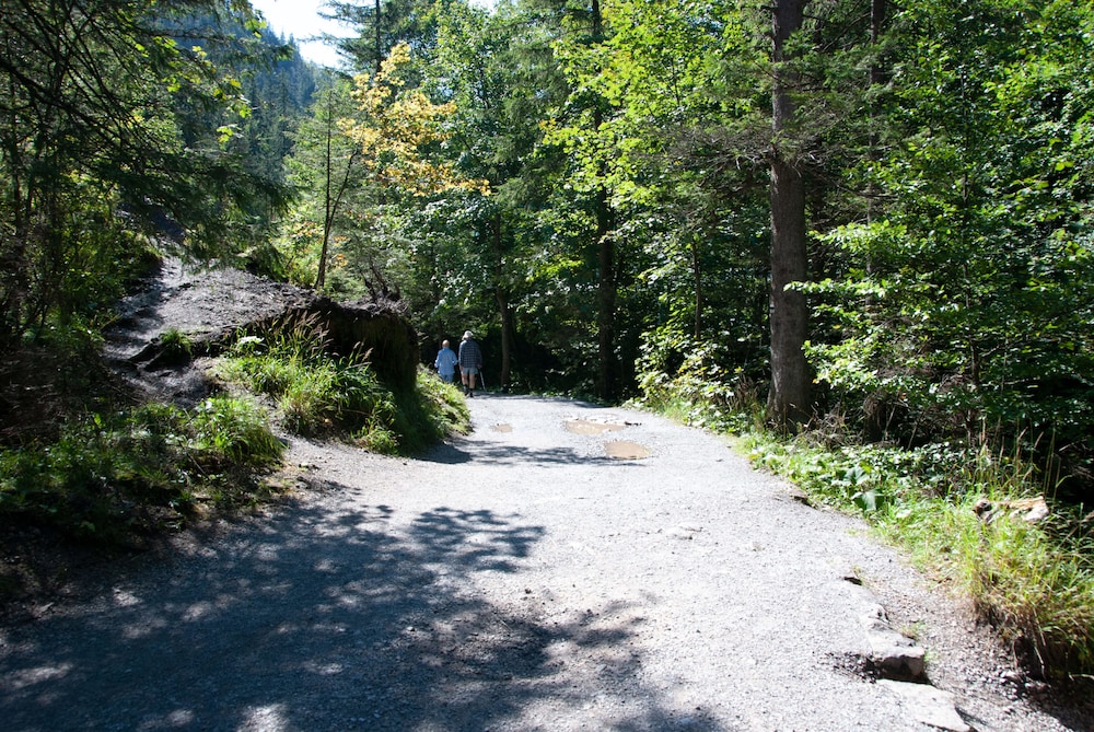 Pensjonat Telimena - POLSKIE TATRY S.A.