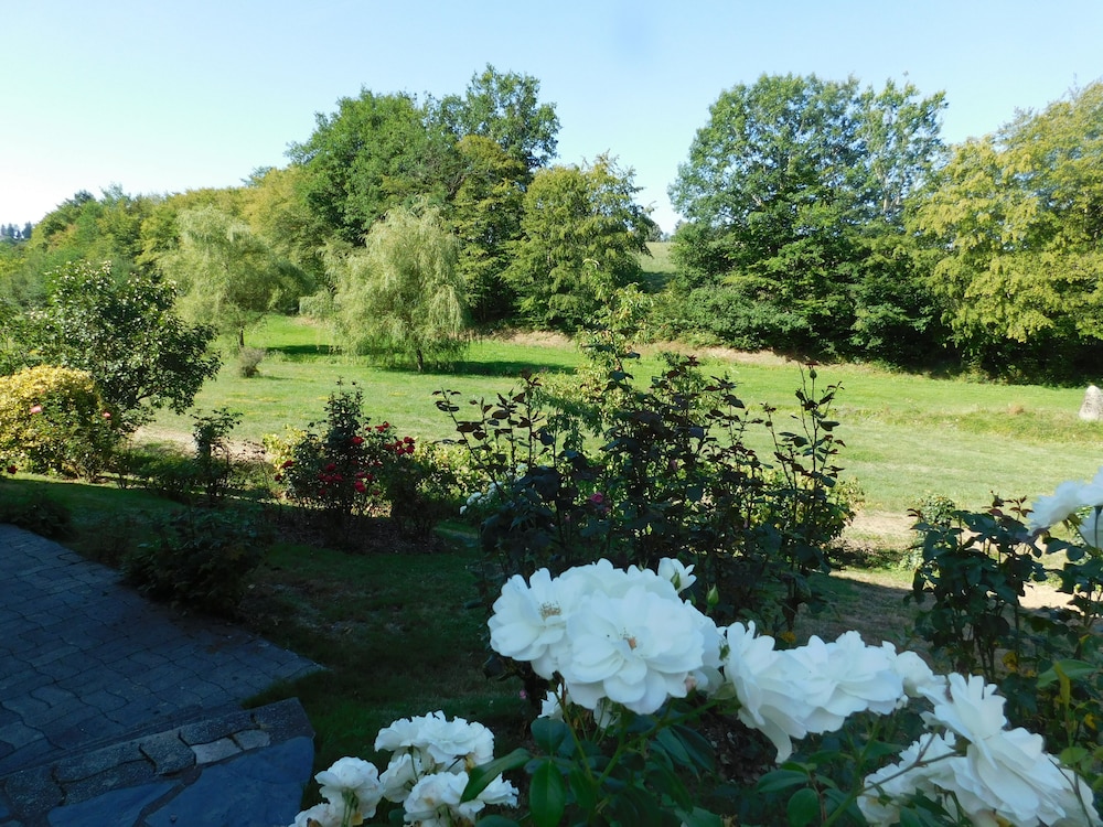 Photo 41