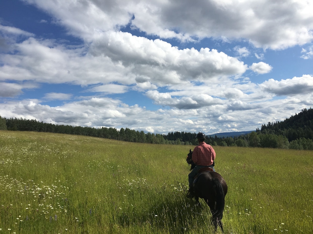 Montana Hill Guest Ranch