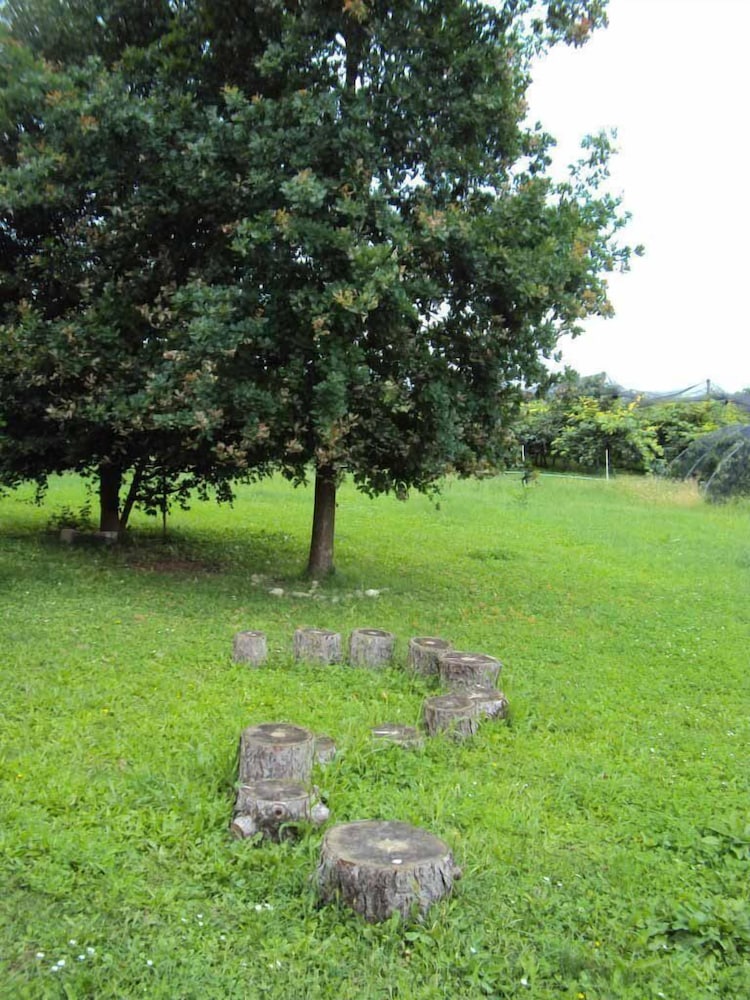 Agriturismo Ca' Del Ferro