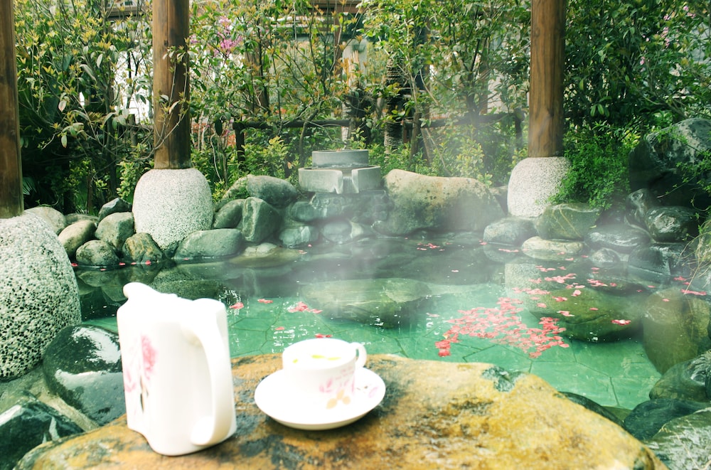 Phoenix Hotspring Resort, photo 62