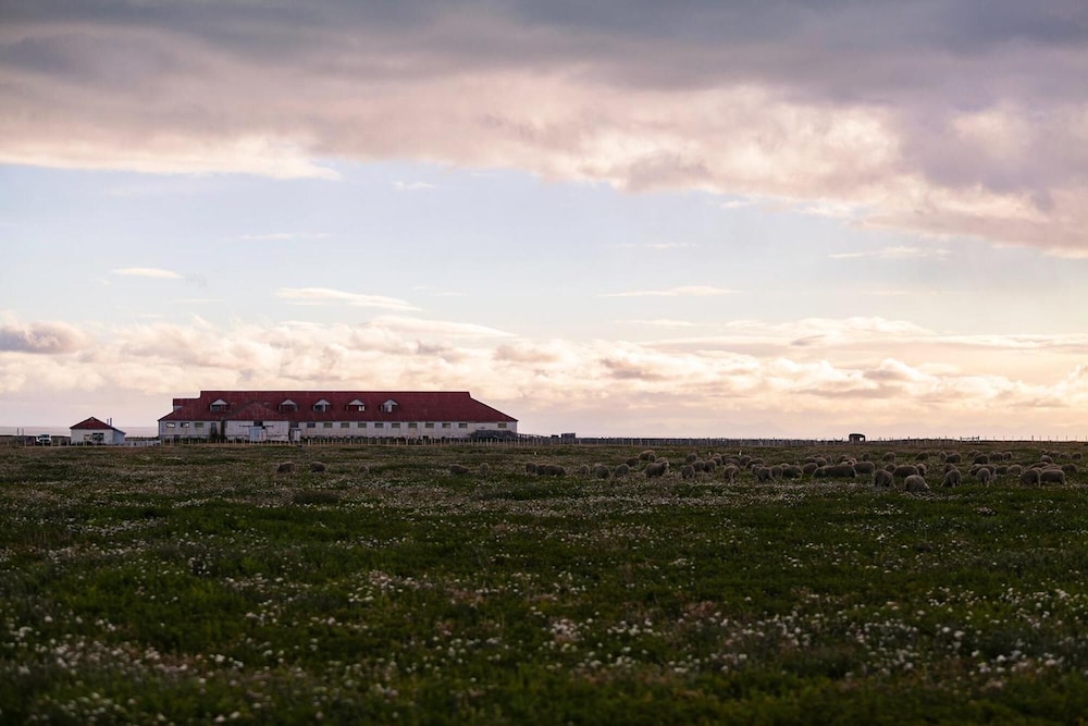 Photo 44
