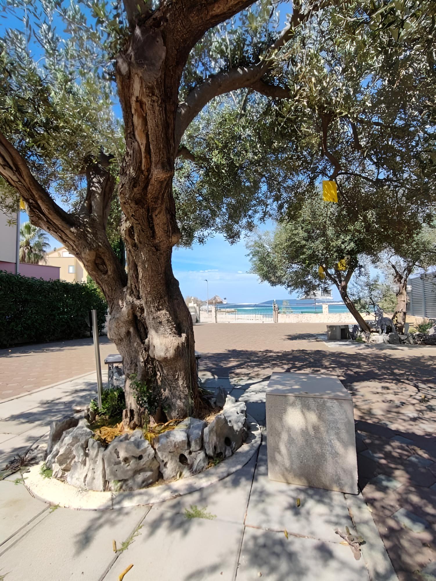 Photo 14