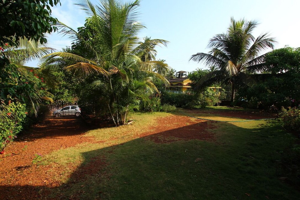 Photo 25