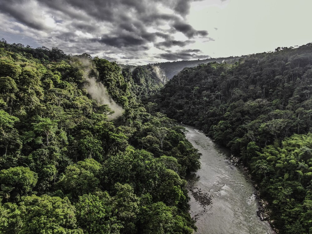 Playa Selva Lodge