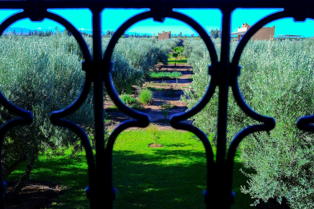 Ferme Sidi Safou