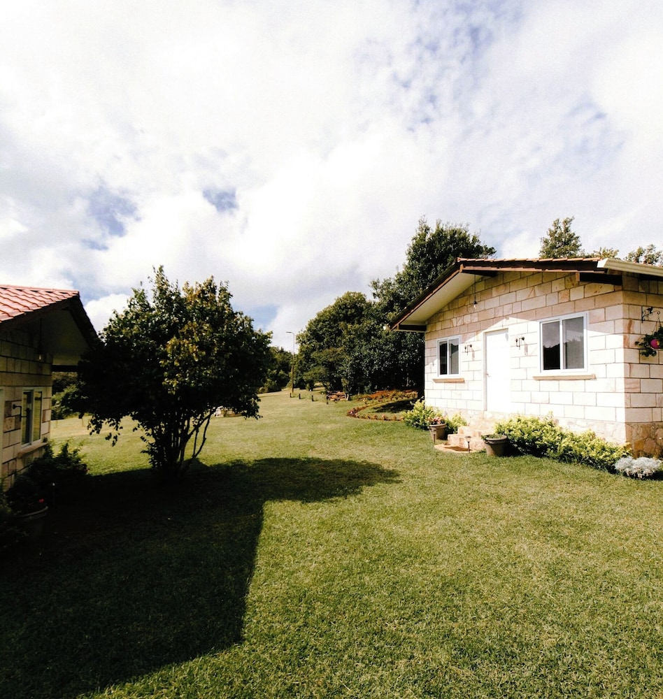 Photo 27