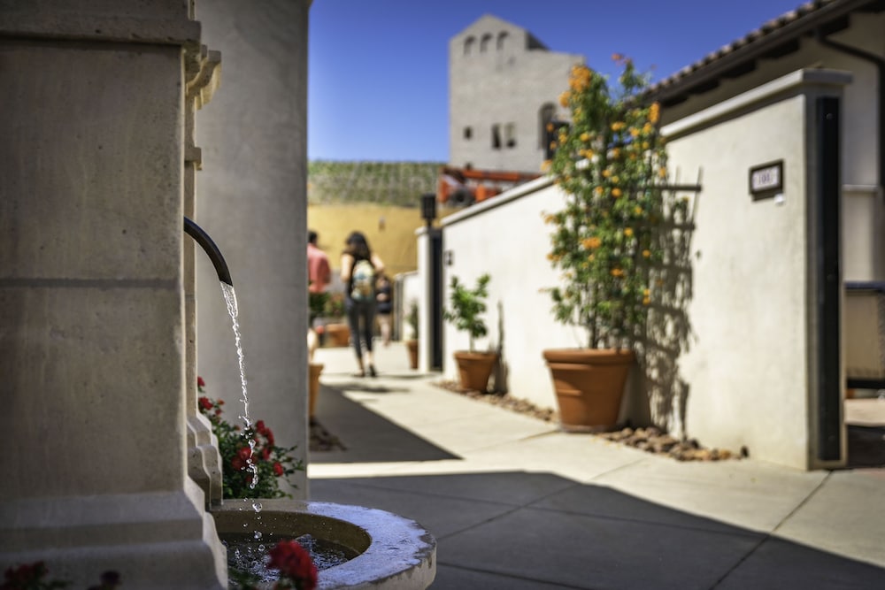 Europa Village Wineries and Resort