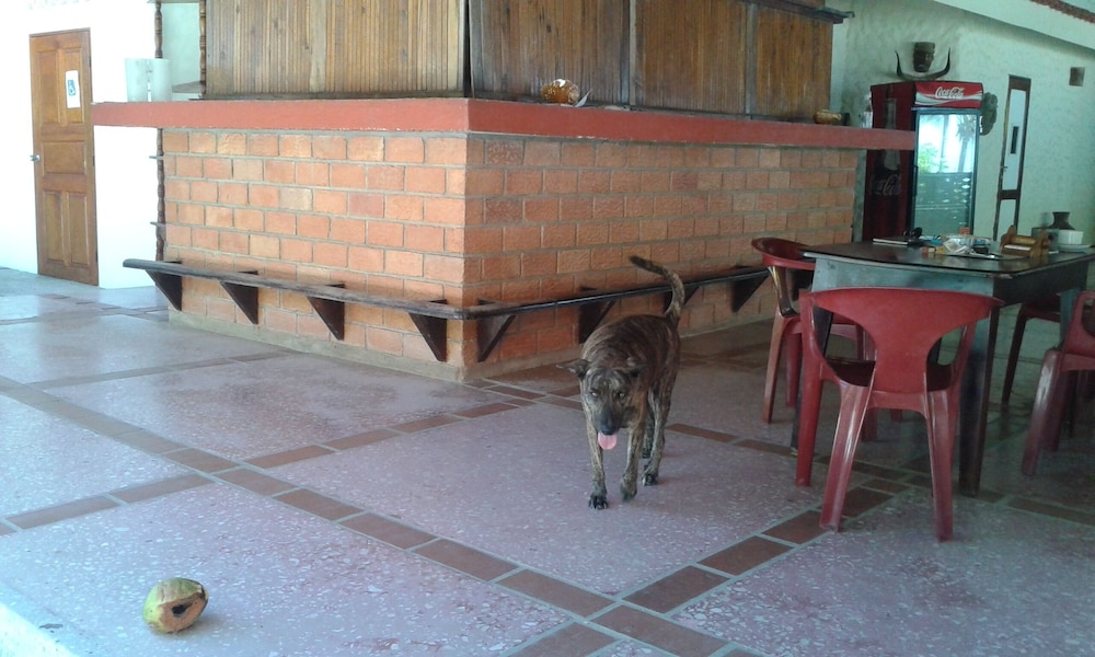 Hotel Brisas del Pacifico - Property Image 7