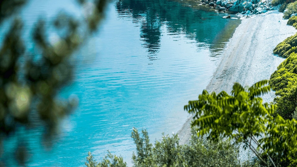 Penelope's Blue photo 1