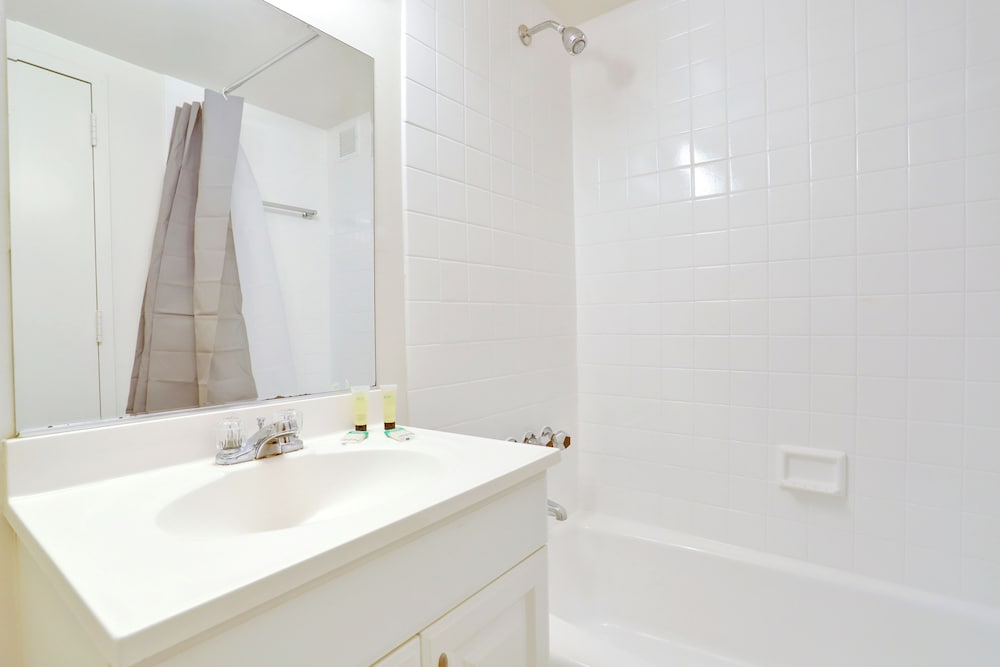 Immerse Yourself in This Beatiful Apt