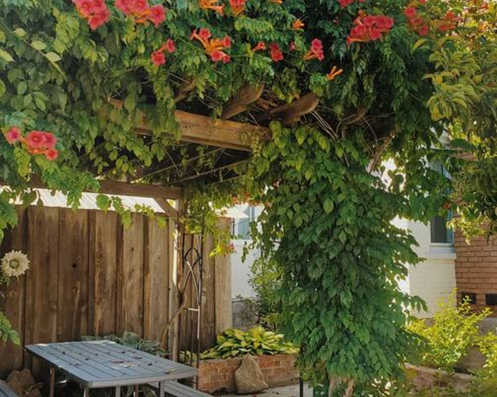 Let Go Unwind at the Wild Rose