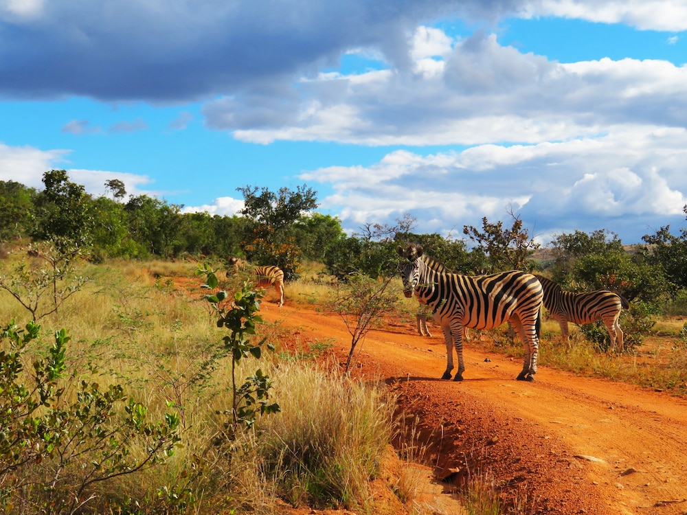 Kololo Game Reserve