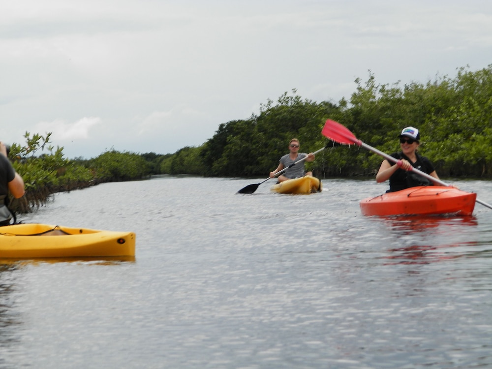 Palmento Grove Eco Cultural & Fishing Lodge