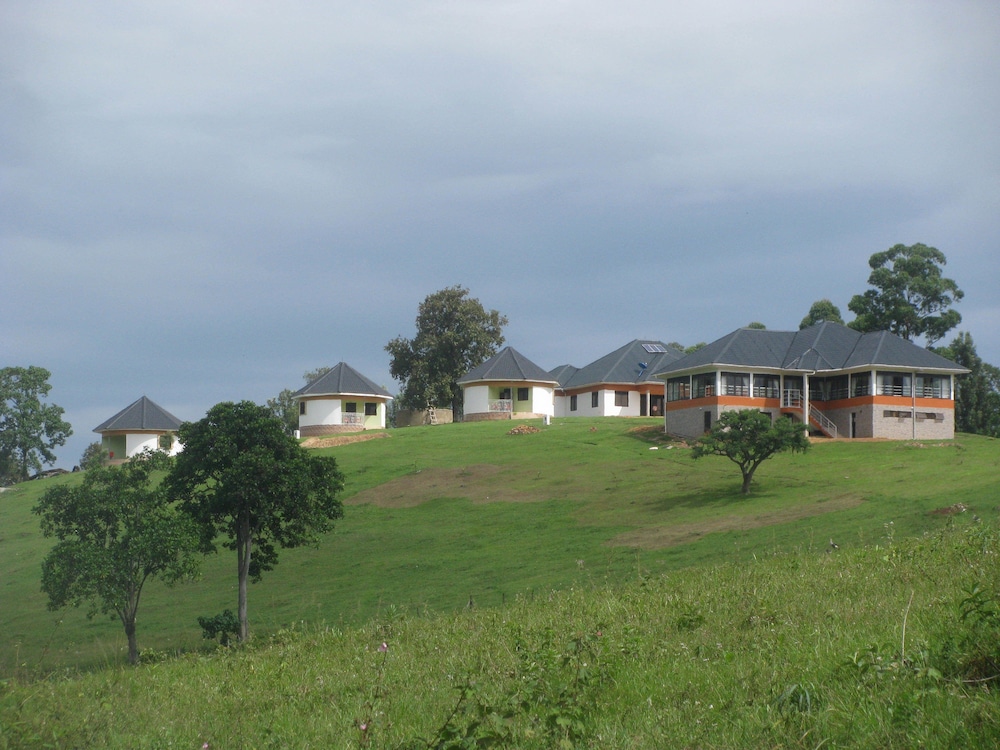 The Crested Crane Bwindi