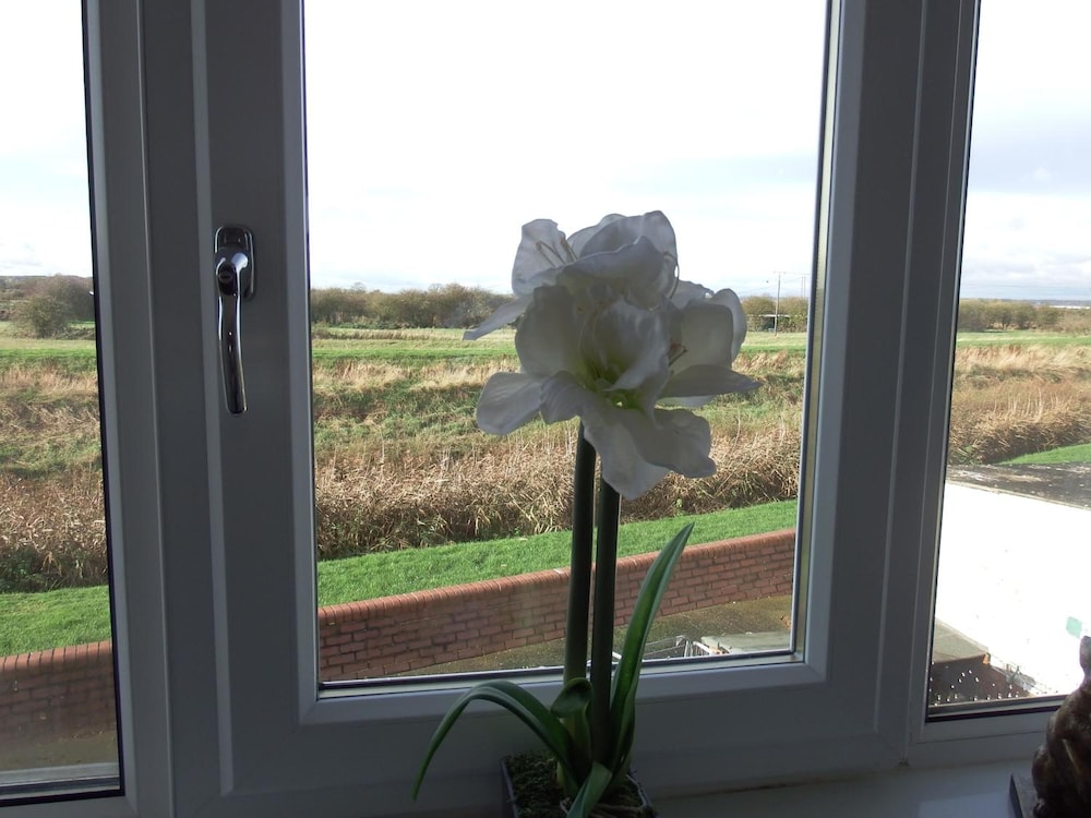The Haven Inn, photo 22