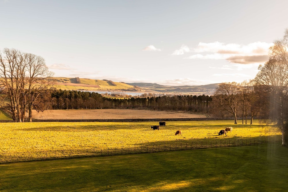 Errol Park - Grand Stately Home Views
