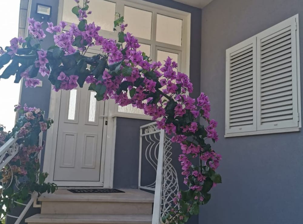 Apartments Bilić Trogir