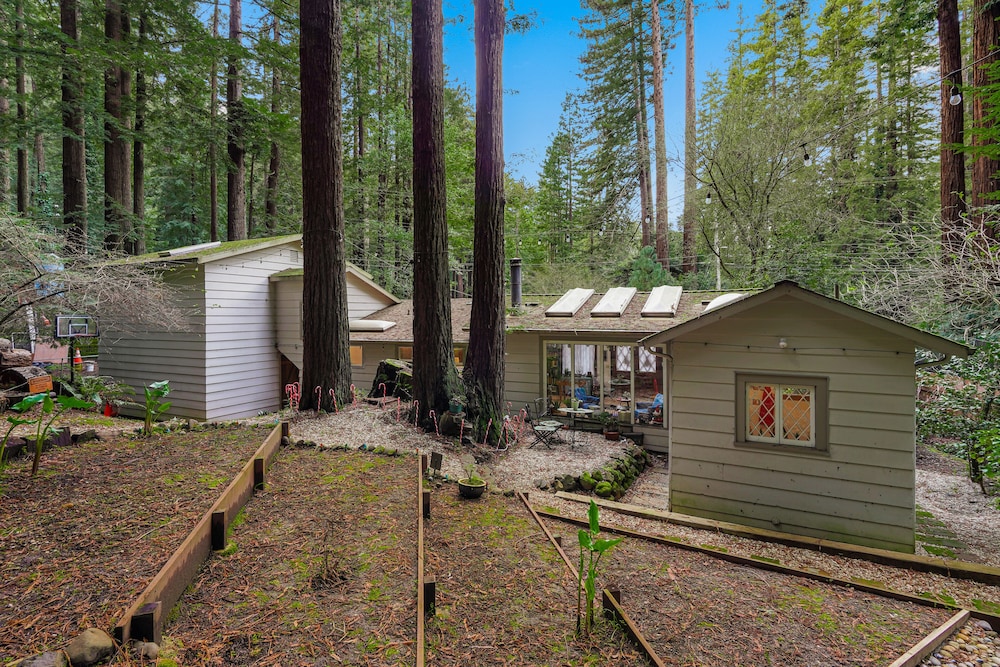 Newark Vacations - Pacific Coast Redwoods Cabin for Family - Property Image 1