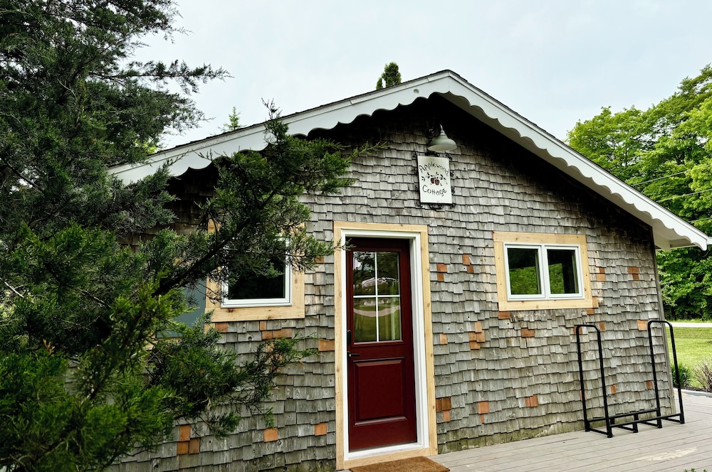 Photo 12