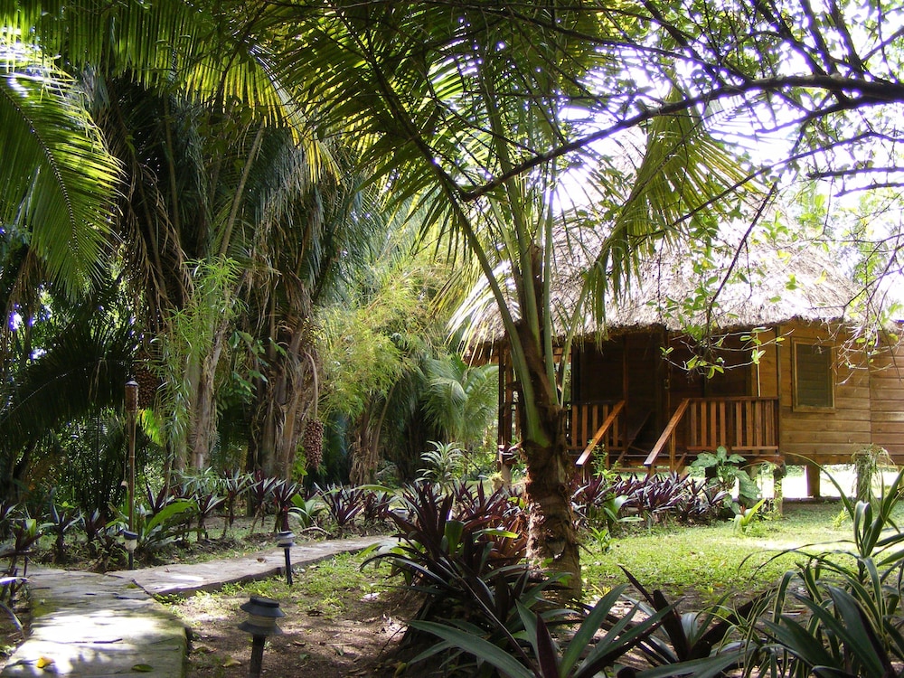 Belize Vacations - Cohune Palms River Cabanas - Property Image 35