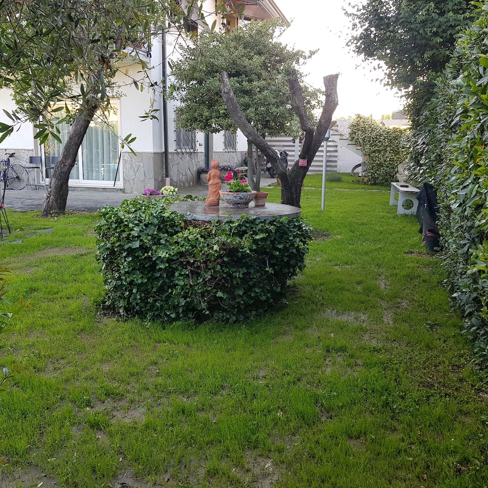 Photo 7