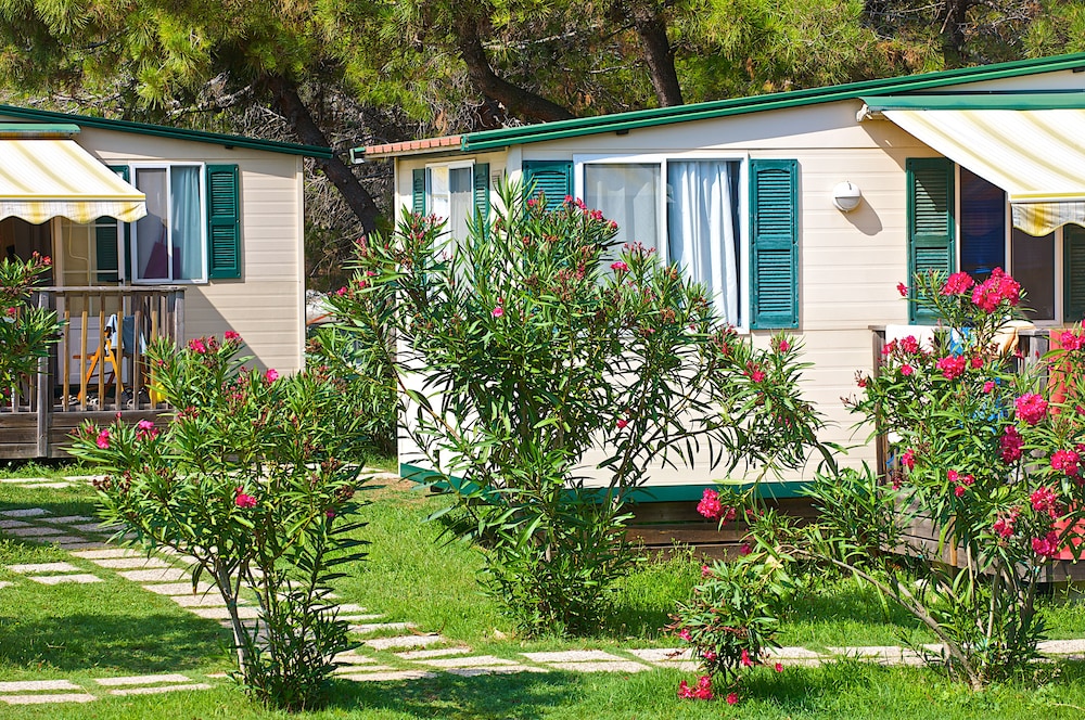 Arena Stupice Camping Homes