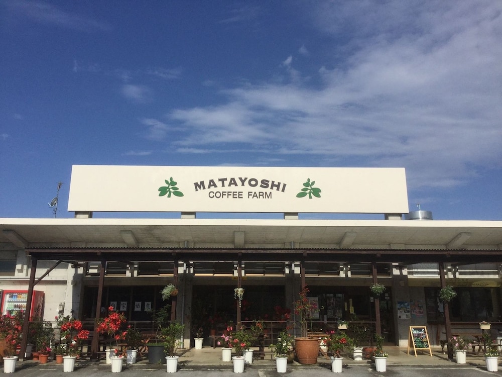 Matayoshi Coffee Farm